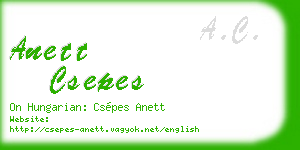 anett csepes business card