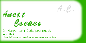 anett csepes business card